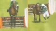 Horse racing board investigating unusual jockey unseating in Wexford