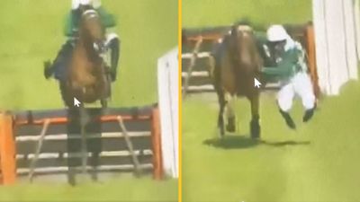 Horse racing board investigating unusual jockey unseating in Wexford