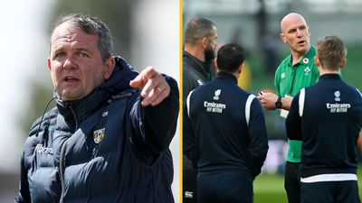 Davy Fitz wants GAA to copy aspects of rugby for future games