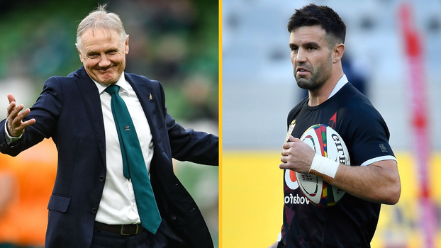 joe schmidt lions conor murray ireland