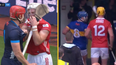 Real reason behind All-Ireland half-time scuffle revealed as Patrick Horgan blamed