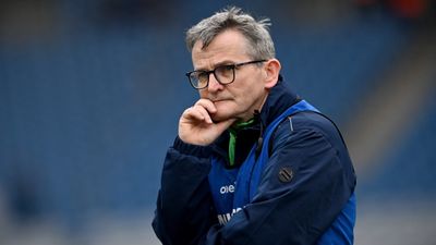 Limerick players and coaches left fuming with their own board for ‘disrespectful’ Munster vote