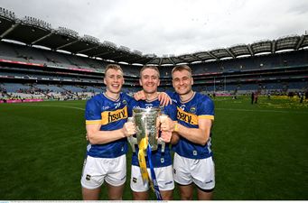 Tipperary lead 2025 PwC All-Star Hurling Nominations