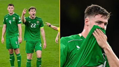 Republic of Ireland v Hungary player ratings: Every Ireland player marked in World Cup Qualifier